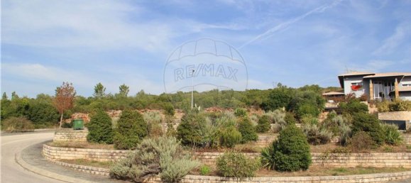 Grundstück in Pombal, Portugal 2270m², Nr. 77417 10