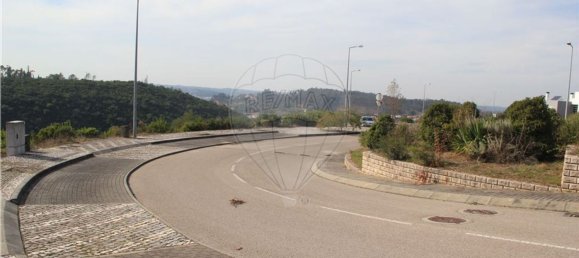 Grundstück in Pombal, Portugal 2270m², Nr. 77417 4