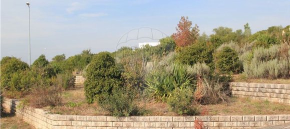 Grundstück in Pombal, Portugal 2270m², Nr. 77417 9