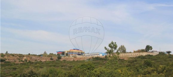 Grundstück in Pombal, Portugal 2270m², Nr. 77417 28