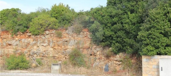 Grundstück in Pombal, Portugal 2270m², Nr. 77417 6