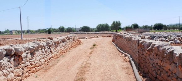 1-salle Entrepôt à Monopoli, Italy No. 32409 13