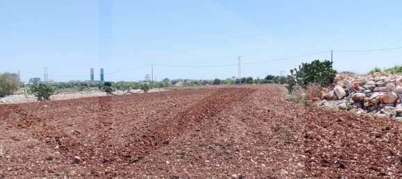 1-salle Entrepôt à Monopoli, Italy No. 32409 14