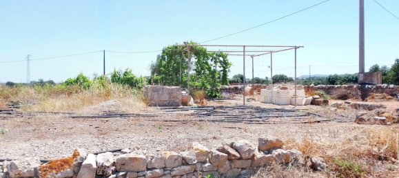 1-salle Entrepôt à Monopoli, Italy No. 32409 12