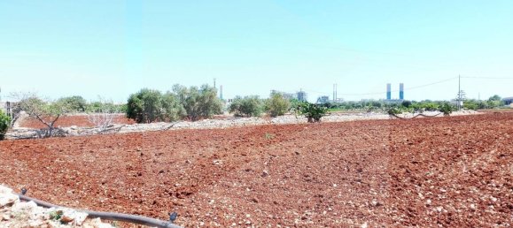 1-salle Entrepôt à Monopoli, Italy No. 32409 8