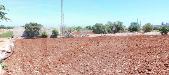 1-salle Entrepôt à Monopoli, Italy No. 32409 9