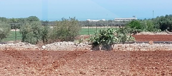 1-salle Entrepôt à Monopoli, Italy No. 32409 15