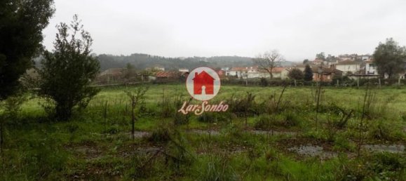 Studio in Vila Nova de Famalicao, Portugal No. 61703 5