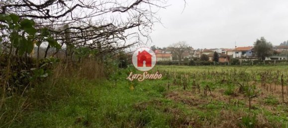 Studio in Vila Nova de Famalicao, Portugal No. 61703 16