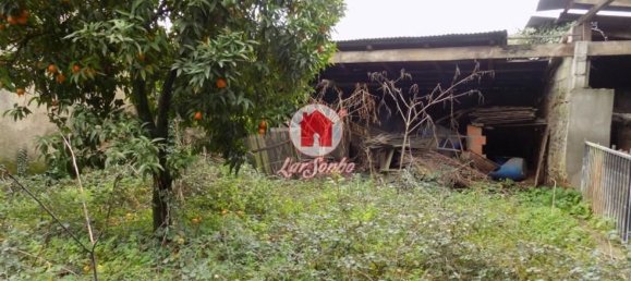 Studio in Vila Nova de Famalicao, Portugal No. 61703 17