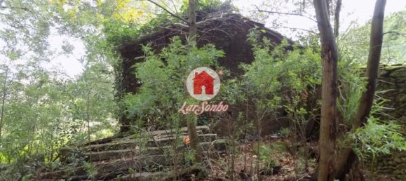 Studio in Vila Nova de Famalicao, Portugal No. 61703 4