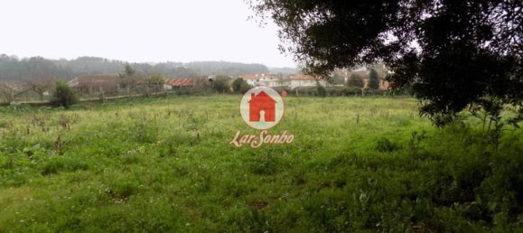 Studio in Vila Nova de Famalicao, Portugal No. 61703 3