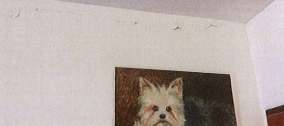 2 rooms Apartment in Fiumicino, Italy No. 189980 19