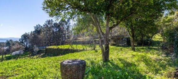 5 bedrooms House in Celorico de Basto, Portugal No. 190112 25