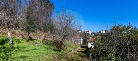 5 bedrooms House in Celorico de Basto, Portugal No. 190112 28