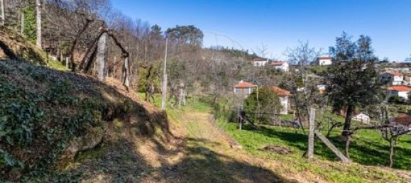 5 bedrooms House in Celorico de Basto, Portugal No. 190112 27