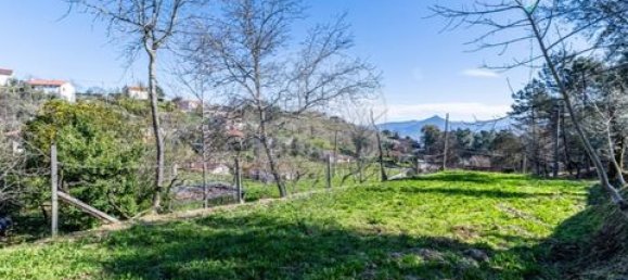 5 bedrooms House in Celorico de Basto, Portugal No. 190112 29