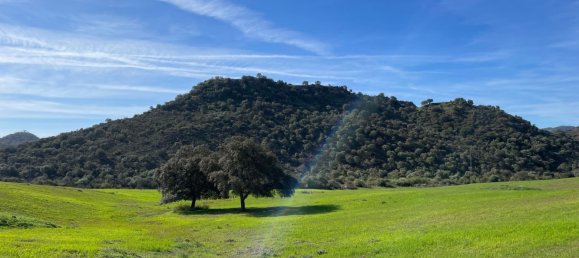 2 bedrooms House in Malaga, Spain No. 143226 39