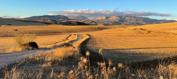 2 bedrooms House in Malaga, Spain No. 143226 36