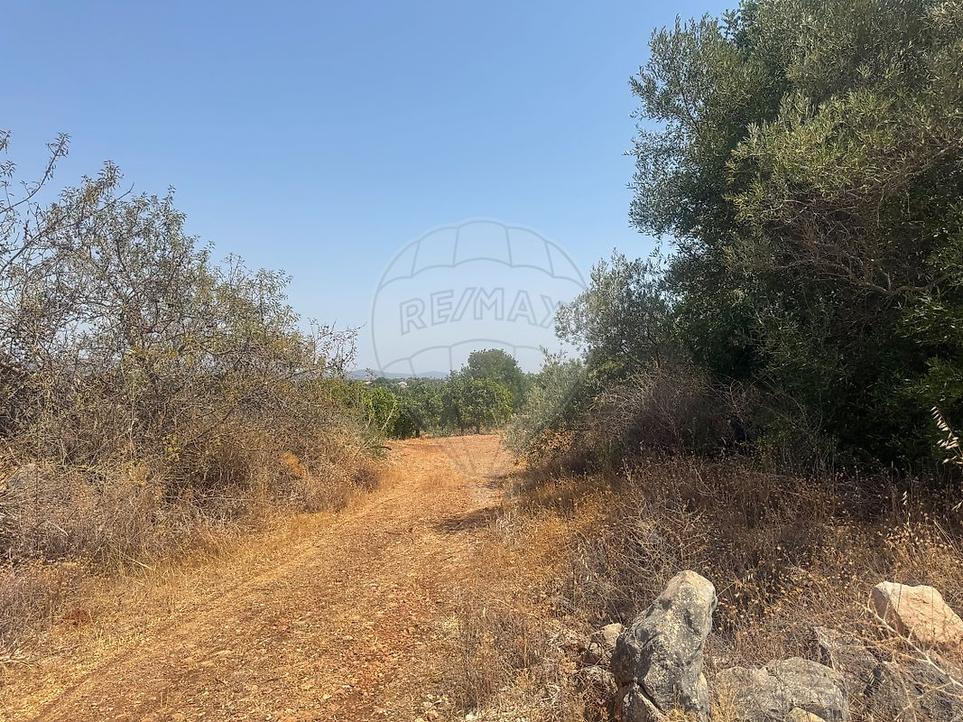 Terrain à Sao Bartolomeu de Messines, Portugal No. 282287