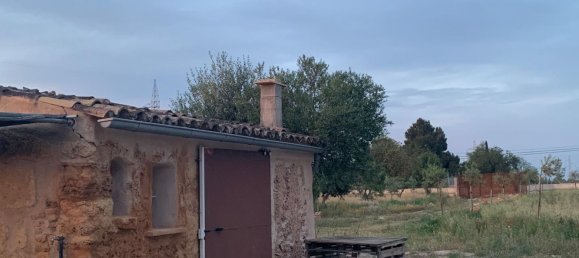 1 غرف نوم منزل في Binissalem, Spain رقم 156949 3