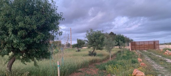 1 غرف نوم منزل في Binissalem, Spain رقم 156949 11
