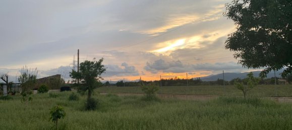 1 غرف نوم منزل في Binissalem, Spain رقم 156949 10