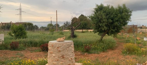 1 غرف نوم منزل في Binissalem, Spain رقم 156949 9