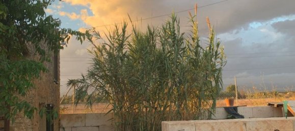 1 غرف نوم منزل في Binissalem, Spain رقم 156949 6