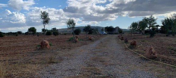 1 غرف نوم منزل في Binissalem, Spain رقم 156949 5