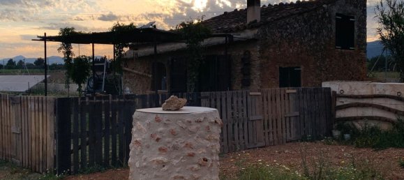 1 غرف نوم منزل في Binissalem, Spain رقم 156949 13