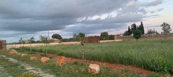 1 غرف نوم منزل في Binissalem, Spain رقم 156949 12