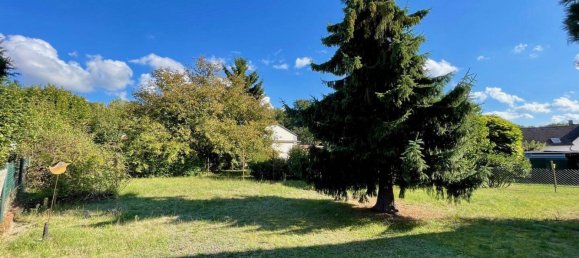 7 غرف نوم تاون هاوس في Saarpfalz, Germany رقم 363563 19