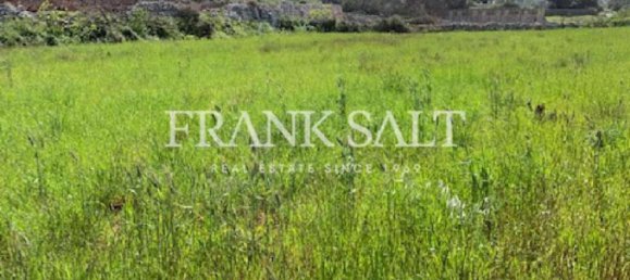 Terreno en Bahar ic-Caghaq, Malta 1978 m² No. 13623 2