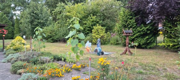 3 rooms Bungalow in Gifhorn, Germany No. 325196 5