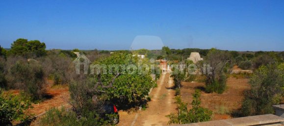 1 bedroom House in Salve, Italy No. 331741 22