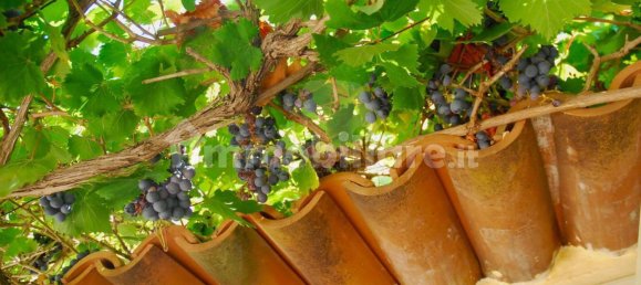 1 bedroom House in Salve, Italy No. 331741 11