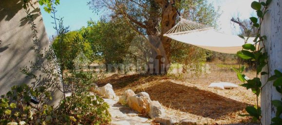 1 bedroom House in Salve, Italy No. 331741 10