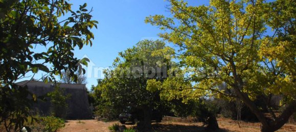 1 bedroom House in Salve, Italy No. 331741 25