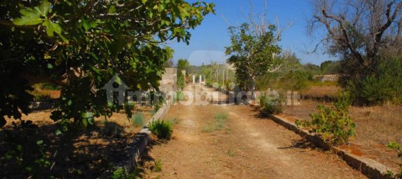 1 bedroom House in Salve, Italy No. 331741 26