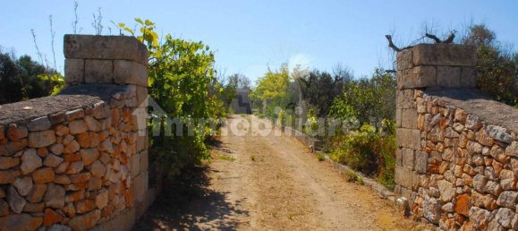 1 bedroom House in Salve, Italy No. 331741 27