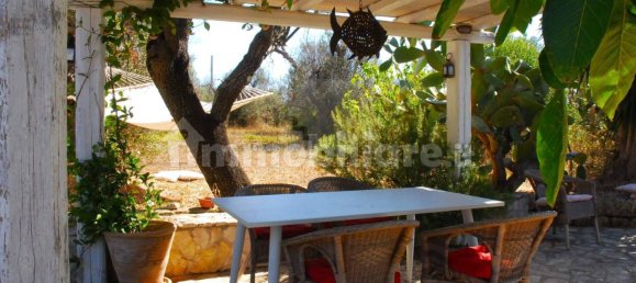 1 bedroom House in Salve, Italy No. 331741 6