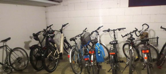 1 chambre Appartement à Breisgau-Hochschwarzwald, Germany No. 242526 13