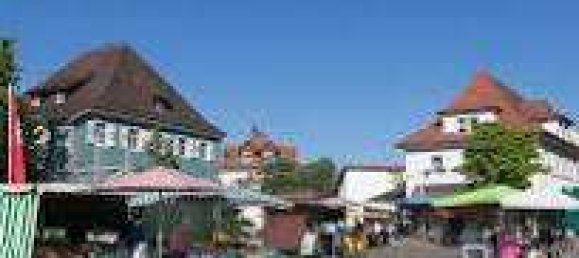 1 chambre Appartement à Breisgau-Hochschwarzwald, Germany No. 242526 19