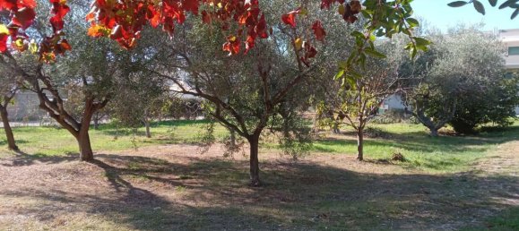 750m² Land in Tortoreto, Italy No. 105391 4