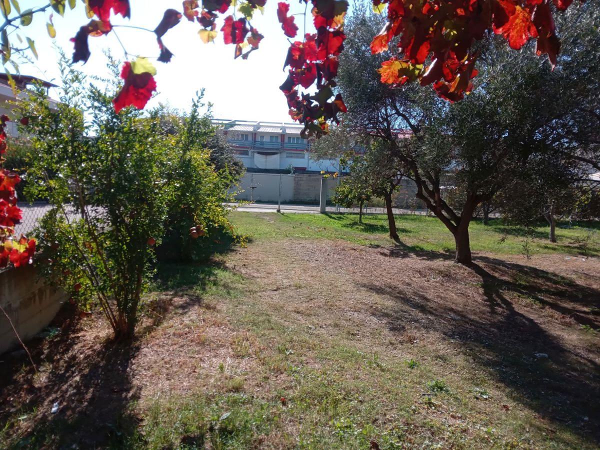 750m² Land in Tortoreto, Italy No. 105391