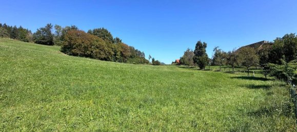 6 rooms Bungalow in Klagenfurt am Worthersee, Austria No. 255446 11