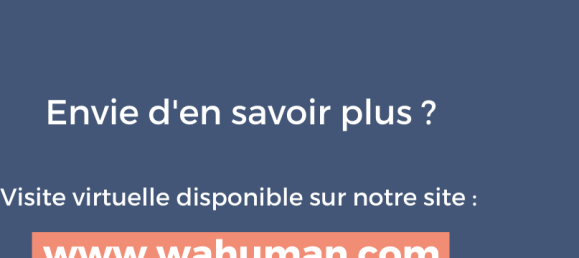 Studio in Le Grau-du-Roi, France No. 100373 6