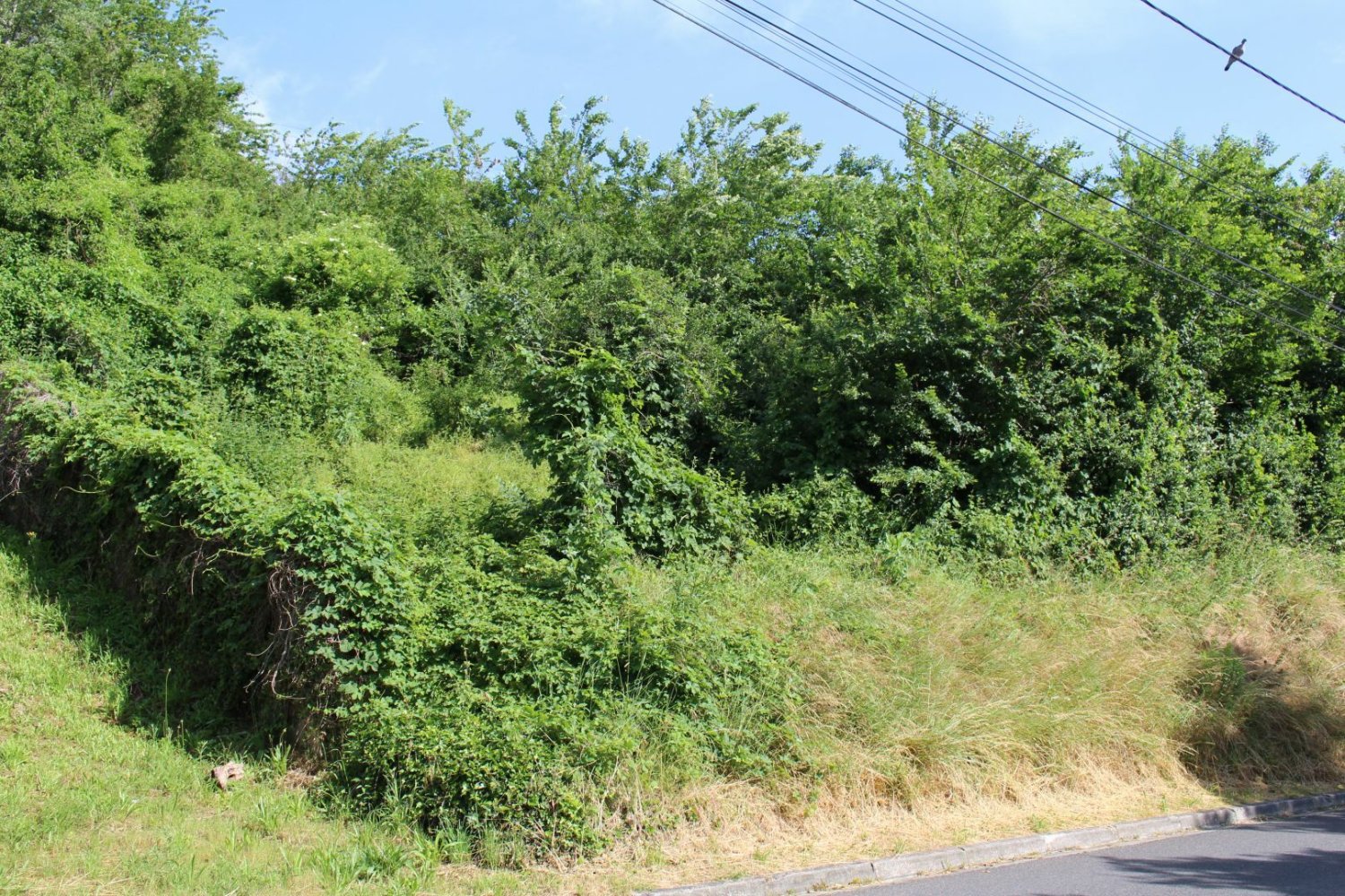  Land in Pernant, France No. 90882