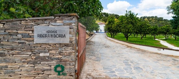 Castillos de 9 dormitorios en Vila Vicosa, Portugal No. 54364 6